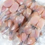 Mražená žabí stehýnka z Vietnamu obsahovala salmonely